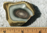 Bargain Bin E Slab 251