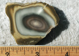 Bargain Bin E Slab 251