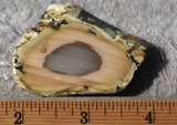 Royal Imperial 256