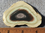 Royal Imperial 236