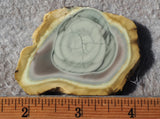 Royal Imperial 237