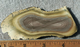 Royal Imperial 230