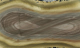 Royal Imperial 230