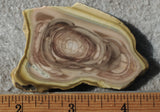 Royal Imperial 235