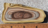 Royal Imperial 248