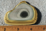Royal Imperial 252