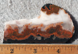 Idaho Sunset Jasper Rock Slab 83