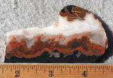 Idaho Sunset Jasper Rock Slab 83