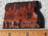 Idaho Sunset Jasper Rock Slab 96