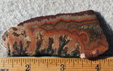 Idaho Sunset Jasper Rock Slab 99