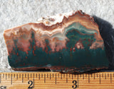 Idaho Sunset Jasper Rock Slab 87