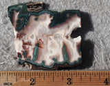 Idaho Sunset Jasper Rock Slab 89