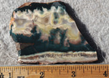 Idaho Sunset Jasper Rock Slab 82