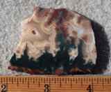 Idaho Sunset Jasper Rock Slab 97