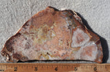 Curiosity Shop Rock Slab 429
