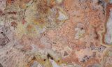 Curiosity Shop Rock Slab 429