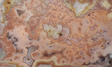 Curiosity Shop Rock Slab 429