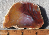 Mexican Moss Agate Rock Slab 293