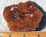 Mexican Moss Agate Rock Slab 294