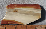 Oregon Picture Jasper Rock Slab 476