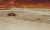 Oregon Picture Jasper Rock Slab 476