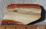 Oregon Picture Jasper Rock Slab 476
