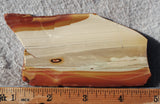 Oregon Picture Jasper Rock Slab 475