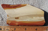 Oregon Picture Jasper Rock Slab 475