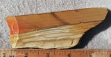 Oregon Picture Jasper Rock Slab 471