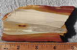 Oregon Picture Jasper Rock Slab 477