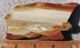 Oregon Picture Jasper Rock Slab 474