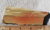 Oregon Picture Jasper Rock Slab 472