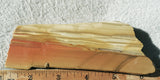 Oregon Picture Jasper Rock Slab 470
