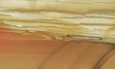 Oregon Picture Jasper Rock Slab 470