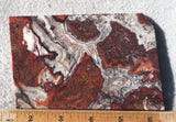 Mexican Crazy Lace Agate Rock Slab 432
