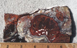 Bargain Bin E Slab 157