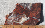 Mexican Crazy Lace Agate Rock Slab 398