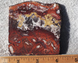 Mexican Crazy Lace Agate Rock Slab 430