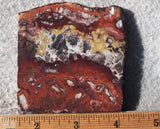 Mexican Crazy Lace Agate Rock Slab 430