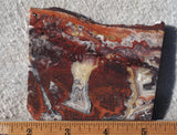 Mexican Crazy Lace Agate Rock Slab 434