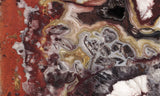 Mexican Crazy Lace Agate Rock Slab 435