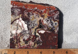 Mexican Crazy Lace Agate Rock Slab 435