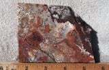 Mexican Crazy Lace Agate Rock Slab 428