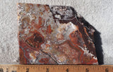 Mexican Crazy Lace Agate Rock Slab 428