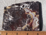 Mexican Crazy Lace Agate Rock Slab 436