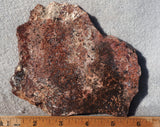 Sagenite Rock Slab 83