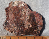 Sagenite Rock Slab 83