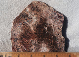 Sagenite Rock Slab 84