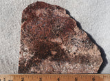 Sagenite Rock Slab 87
