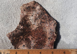 Sagenite Rock Slab 81